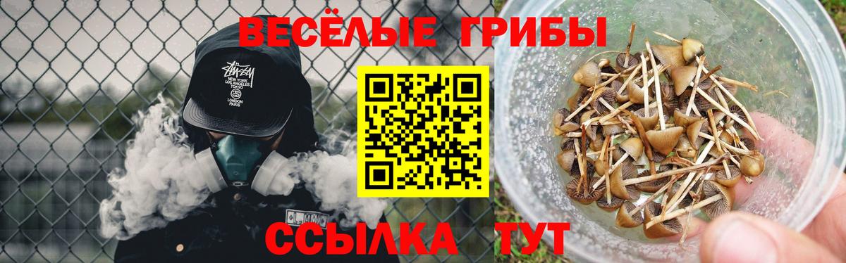 Галлюциногенные грибы MAGIC MUSHROOMS Луга